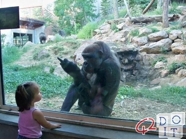 Funny Babies At The Zoo