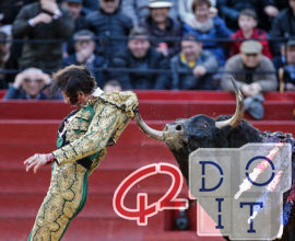 Madrid, esta vez los toros ganaron: tauromaquia suspendida