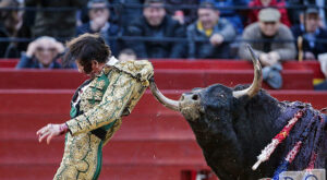 Madrid, esta vez los toros ganaron: tauromaquia suspendida