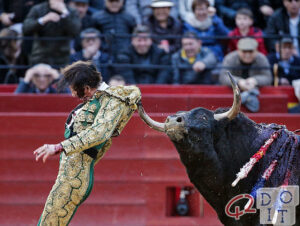 Madrid, esta vez los toros ganaron: tauromaquia suspendida