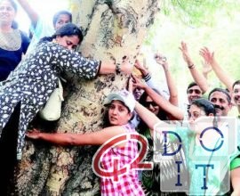 भारत: ओडिशा में महिलाएं जंगल बचाती हैं