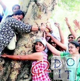 भारत: ओडिशा में महिलाएं जंगल बचाती हैं