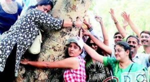 भारत: ओडिशा में महिलाएं जंगल बचाती हैं