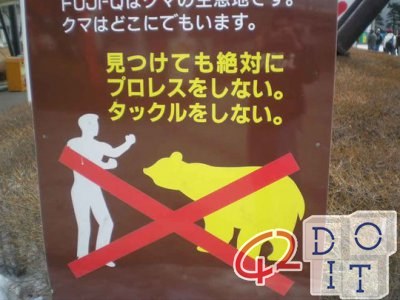 Arguing with bears? Remember! In China it is forbidden