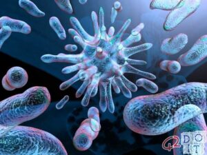 Candida auris, the fungus that "can kill in 90 days"