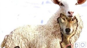 Cómo entender cuando una persona es maligna: las 10 señales. Tienen características que no se pueden enmascarar