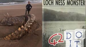Loch Ness Monster, what's true? Legend and finds