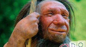 La plus ancienne corde a 52 000 ans, les Néandertaliens l'ont entrelacée