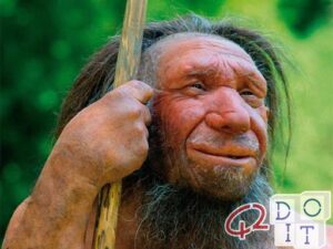 La plus ancienne corde a 52 000 ans, les Néandertaliens l'ont entrelacée