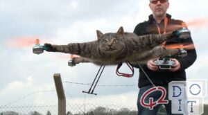 Chat transformé en drone par un artiste néerlandais