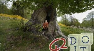 The ornamental hermits, who lived in the gardens of the wealthy English