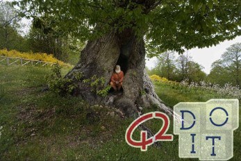The ornamental hermits, who lived in the gardens of the wealthy English