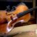 Stradivarius, secrets, value, quotation, violin, cello, best, musical instrument,
